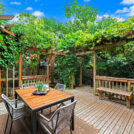 back yard 1